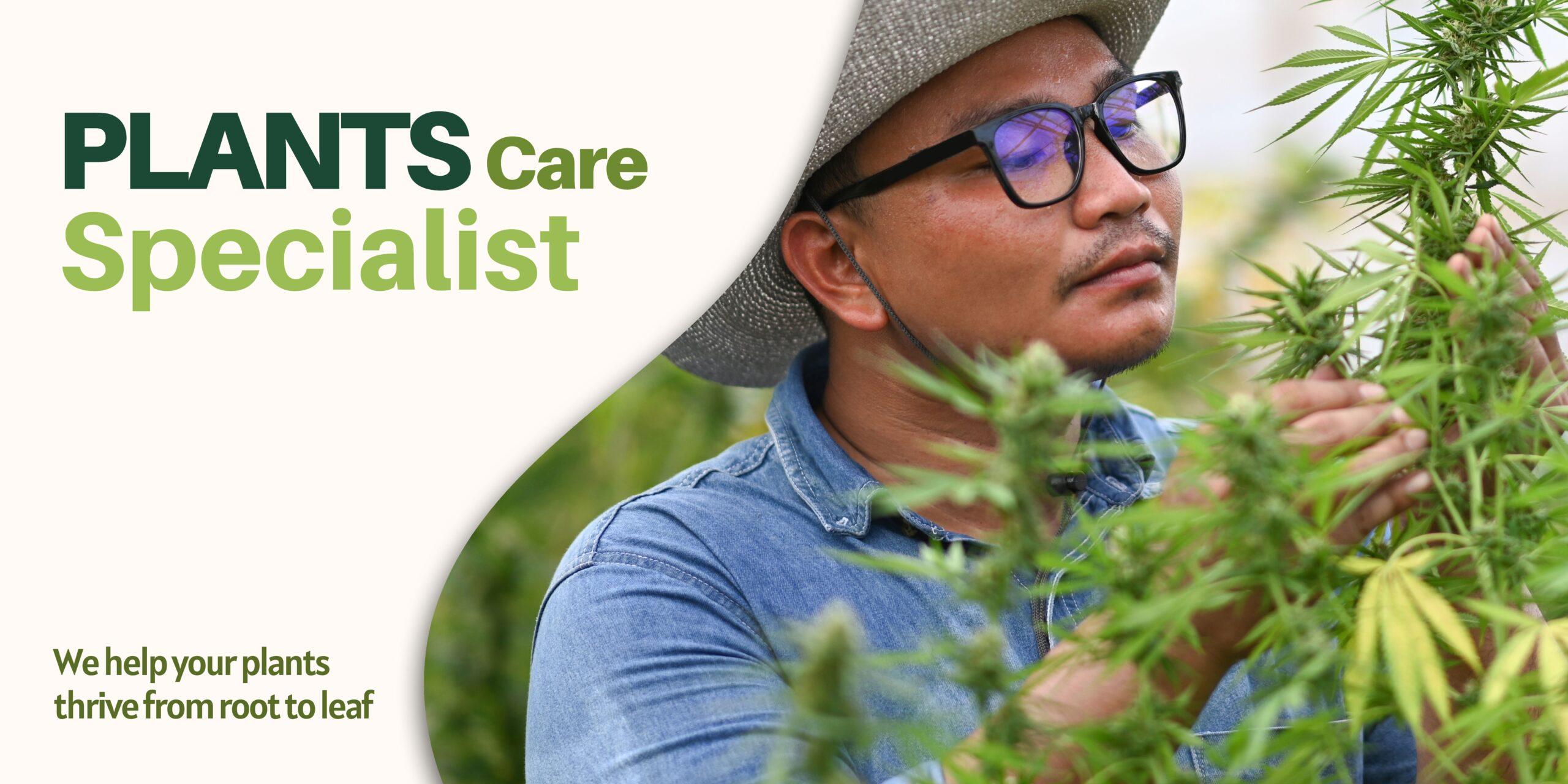 Plants Care Service